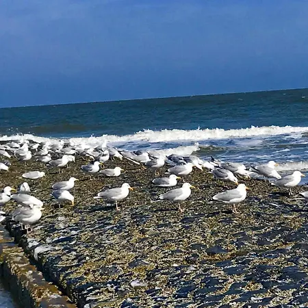 Haus Seelord Am Weststrand *