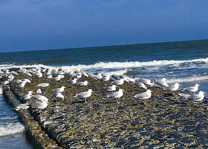 Haus Seelord Am Weststrand *